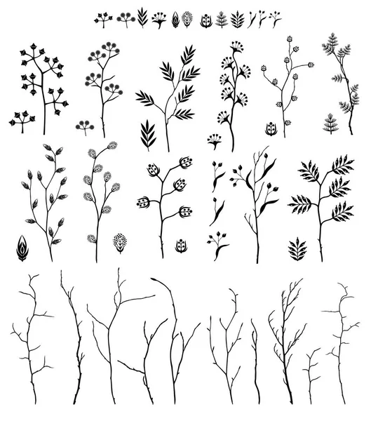 Grand ensemble de branches et de fleurs, automne, printemps, été. Illustration macro détaillée, pas autotrace, conception constructeur — Image vectorielle