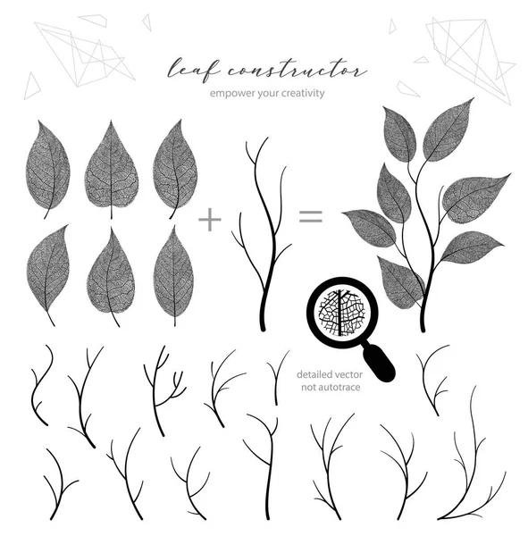 Big Set Branch Leaf Autumn Spring Summer Detailed Vector Macro — Stock Vector