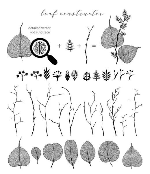 Великий Набір Векторних Гілок Листя Осінь Весна Літо Детальна Макроілюстрація — стоковий вектор
