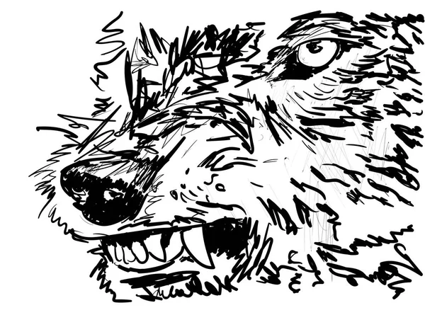 森の中の狼 — ストックベクタ