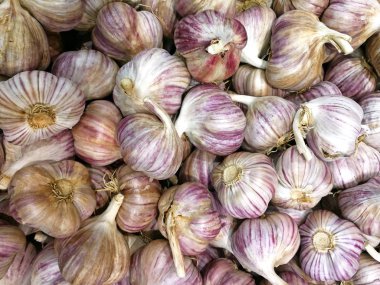 masanın üzerinde bir sarımsak