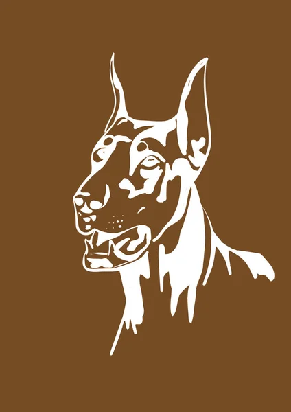 Perro Doberman Buscando — Vector de stock