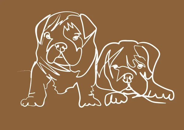 Dos Perros Mirando — Vector de stock