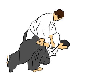 bir aikido her gün
