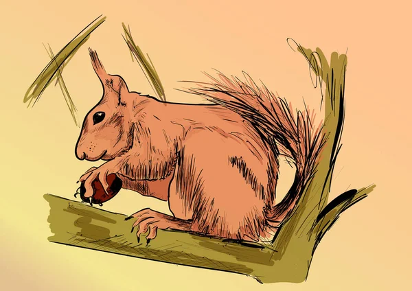 Écureuil Dans Forêt — Image vectorielle