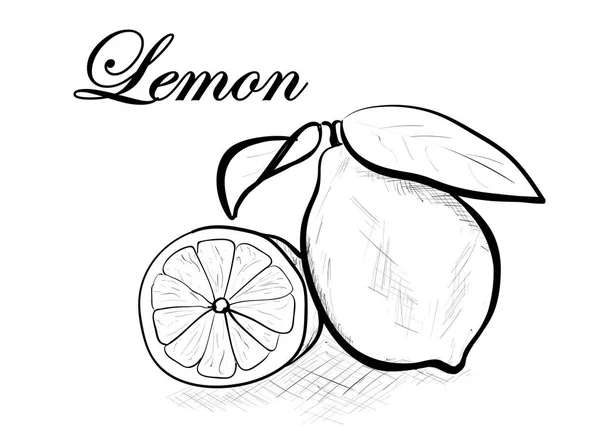 Лимон Білому — стоковий вектор