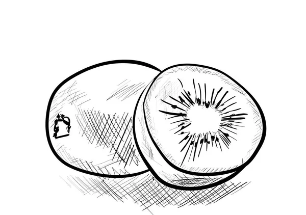 Kiwi Sur Blanc — Image vectorielle