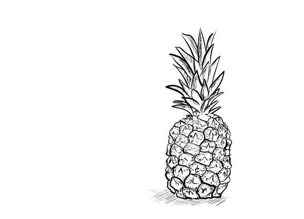 Mycket Välsmakande Ananas — Stock vektor