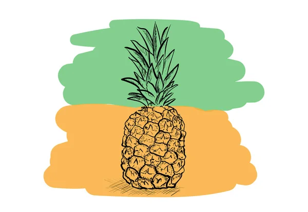 Eine Sehr Schmackhafte Ananas — Stockvektor