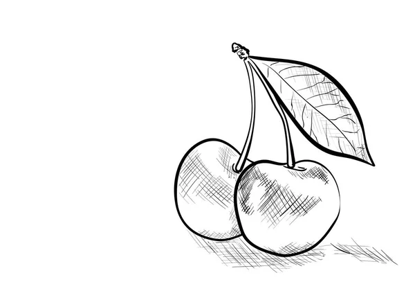 Eine Sehr Schmackhafte Kirsche — Stockvektor