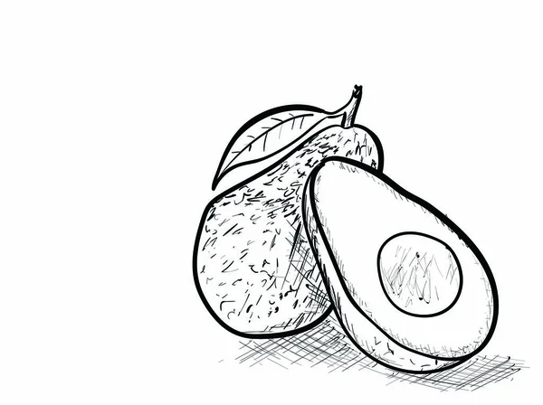 Eine Sehr Leckere Avocado — Stockvektor