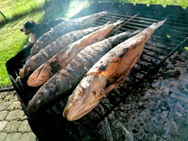 ızgara üzerinde lezzetli bir balık