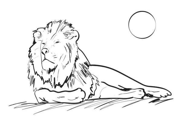 白色背景的狮子 — 图库矢量图片