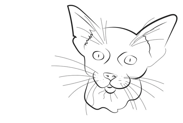 Una Ilustración Gato — Archivo Imágenes Vectoriales