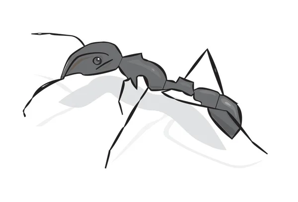 Ant Isolated White — Stock Vector