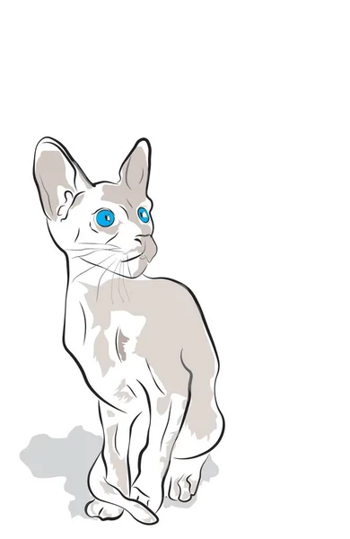 Chat Oriental Sur Fond Blanc — Image vectorielle