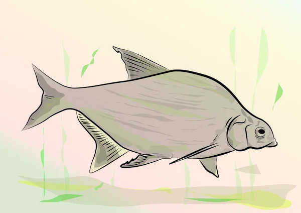 Uma Ilustração Peixe — Vetor de Stock