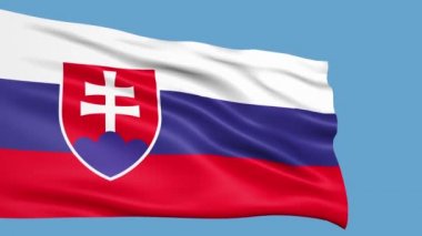 rüzgarda sallayarak Slovakya bayrağı