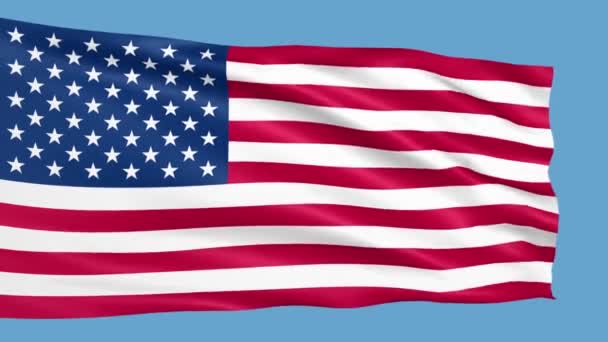 United States Flag Waving Wind — Stock Video