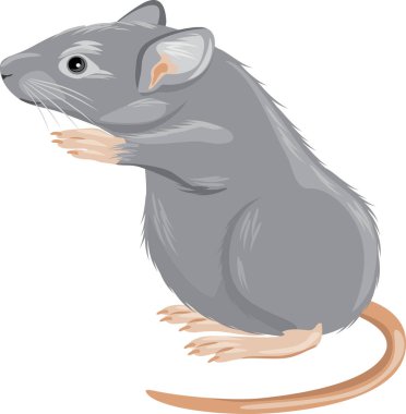 gri fare üzerinde beyaz izole