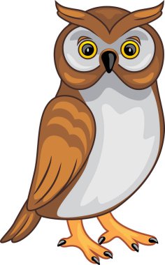 Sevimli baykuş beyazda izole edilmiş.