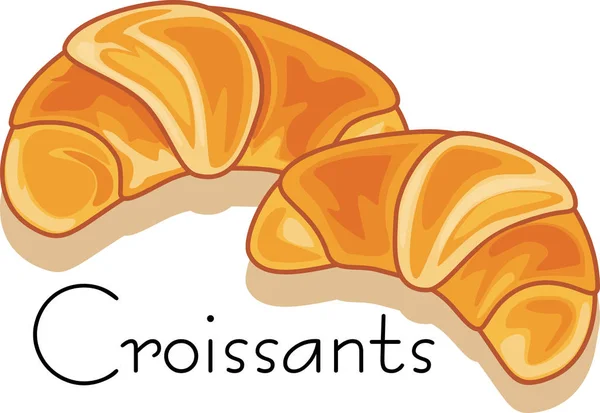 Dos Croissants Aislados Blanco — Vector de stock