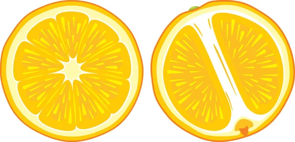 Dos Rebanadas Naranja Jugosas — Vector de stock