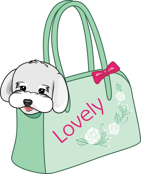 Fashionable Carrying Bag Small Dogs — Stock Vector