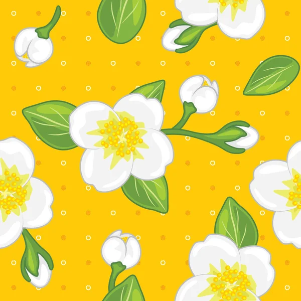 Patrón Amarillo Sin Costuras Con Jazmín Flor — Vector de stock