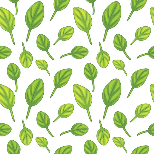 Seamless Pattern Spinach Leaves — Stock Vector