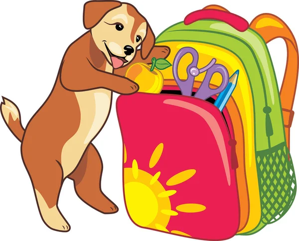 Cachorro Pone Una Manzana Una Mochila Escolar — Vector de stock