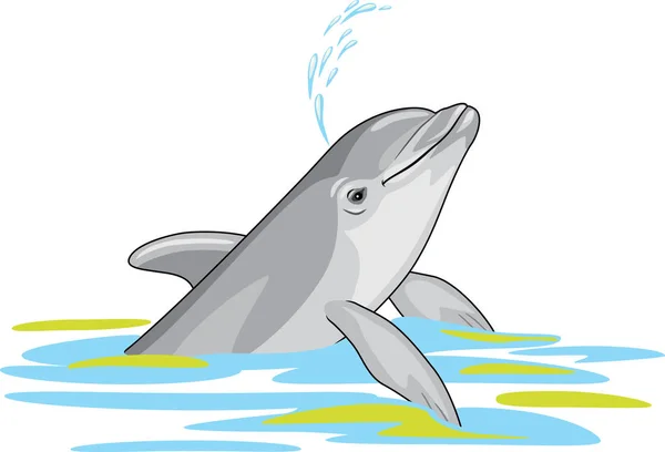 Glücklicher Delfin Spritzt Wasser — Stockvektor