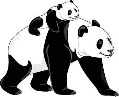 Neşeli panda anne ve bebeği