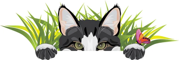 Rolig Katt Tittar Gräset Och Leker Med Fjäril — Stock vektor