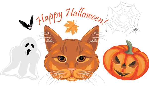 Boldog Halloweent Vicces Design Üdvözlőlap — Stock Vector