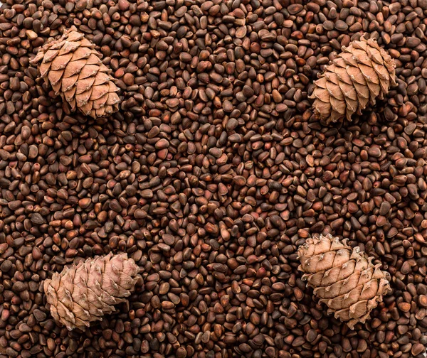 The texture of raw pine nuts and cones closeup.