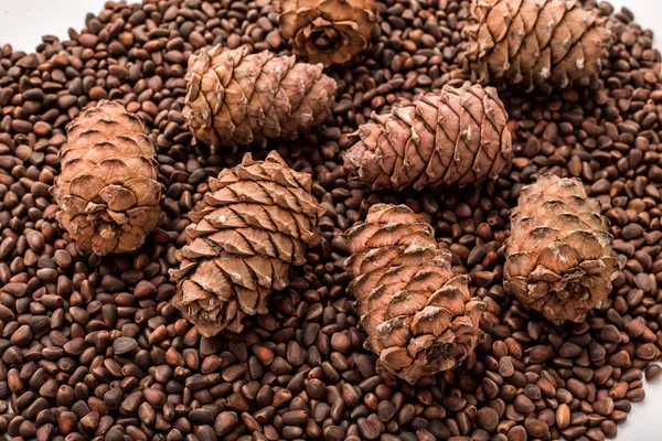 The texture of raw pine nuts and cones closeup.