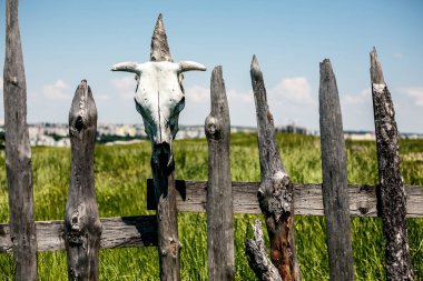 Kuru kafatasları ile çit.