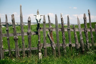 Kuru kafatasları ile çit.