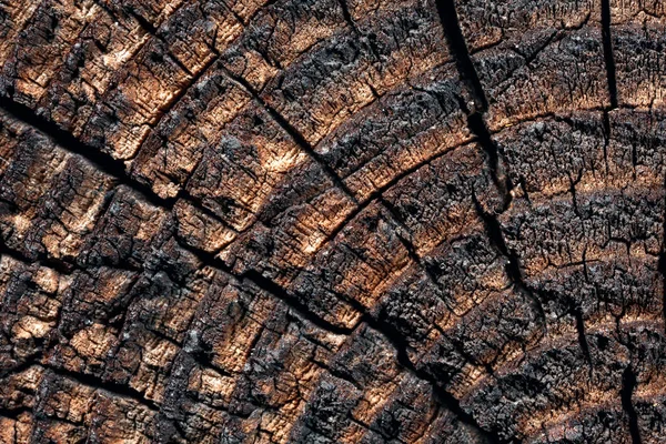 Wood with cracks. — Stock Photo, Image