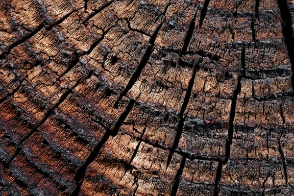 Wood with cracks. — Stock Photo, Image