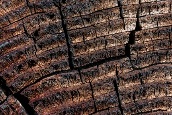 Wood with cracks. — Stock Photo, Image