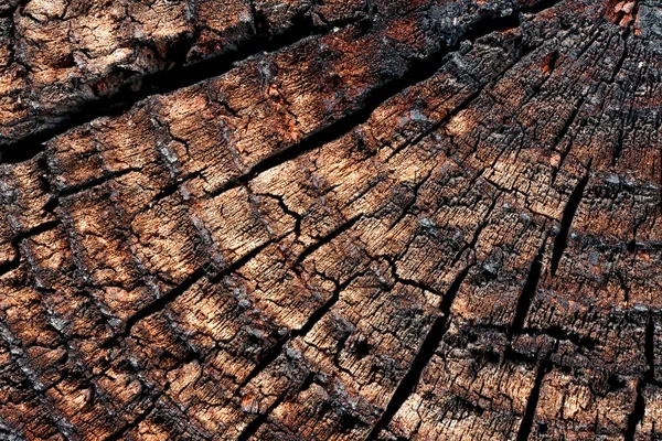 Wood with cracks. — Stock Photo, Image