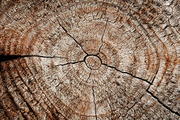 Wood with cracks. — Stock Photo, Image