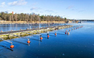 Deniz defne Stoholms Fiyordu içinde donmuş