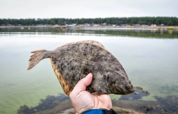 Plan Recadré Pêcheur Tenant Des Poissons Avec Lac Sur Fond — Photo