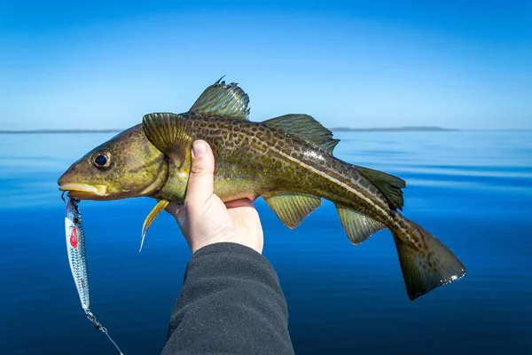 Beskuren Bild Fiskare Som Håller Fisk Med Sjön Bakgrunden — Stockfoto