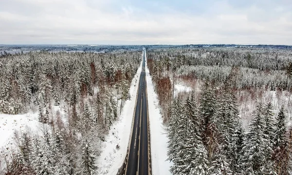 Scenic View Winter Road Pine Trees Sweden — Stock Photo, Image