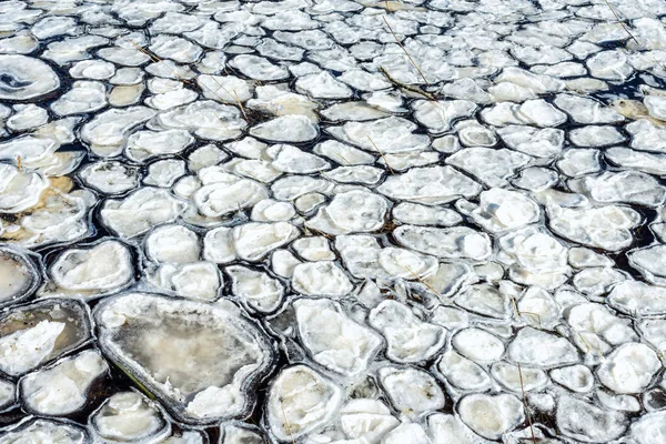 月川でラウンドの流氷 — ストック写真