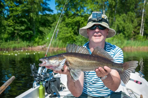 Walleye Ψάρια Στα Χέρια Τους Ψαράδες — Φωτογραφία Αρχείου